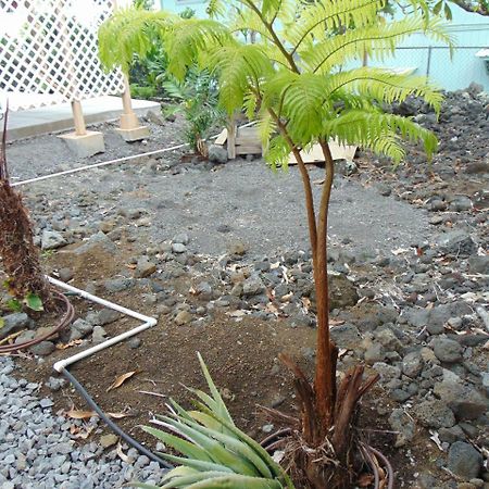 Ohana Hale Kailua-Kona Exterior photo