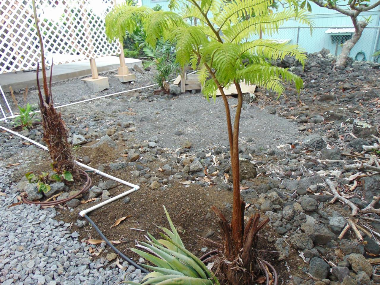 Ohana Hale Kailua-Kona Exterior photo